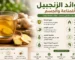 فوائد الزنجبيل للمناعة والجسم ومشروب الزنجبيل الصحي