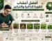 أفضل أعشاب لتقوية الذاكرة والتركيز دليل شامل للطلاب والمهنيين لزيادة الإنتاجية والتحصيل العلمي